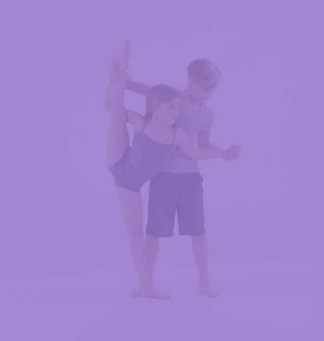purple-box-intro3.jpg